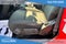 2022 Jeep Wrangler Unlimited Sport Altitude